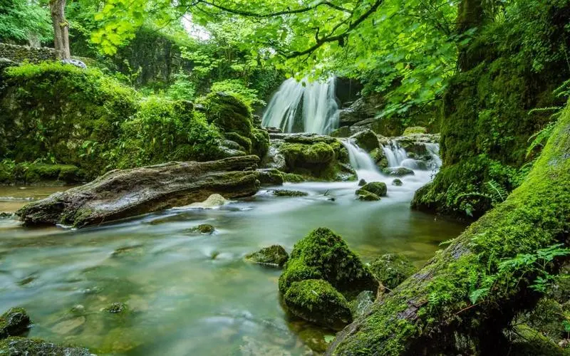 可靠性高标准